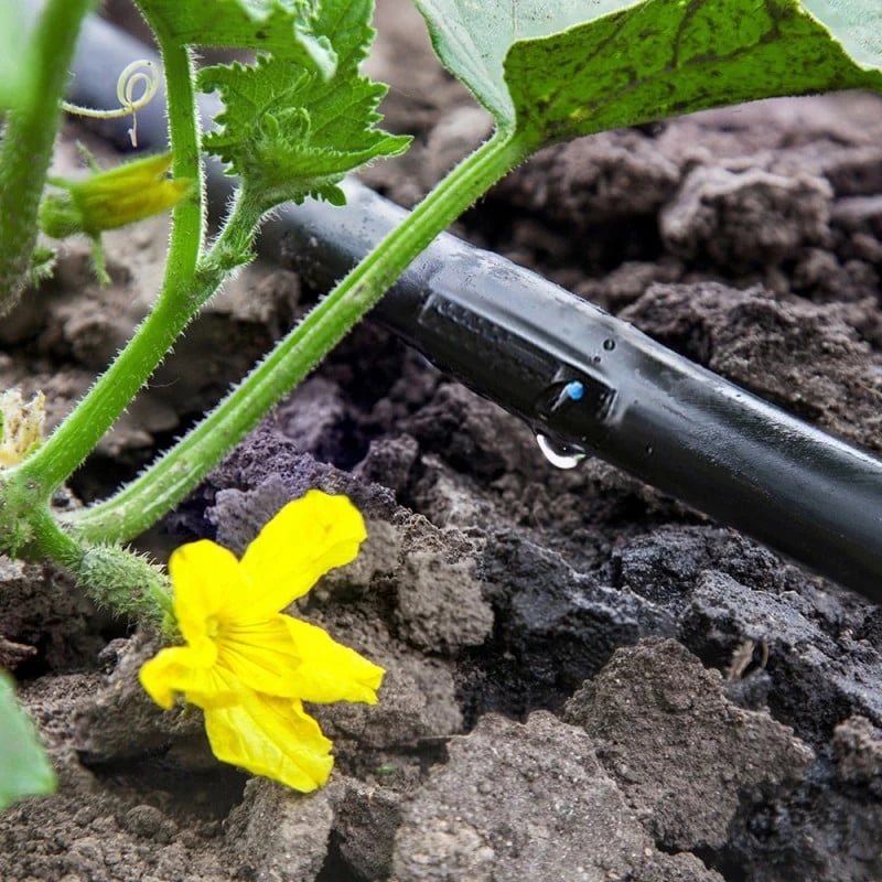 Tuyau Goutte à Goutte - 300 M 2 Tuyau Goutte à Goutte - 300 M - Image 2