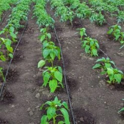 Tuyau Goutte à Goutte - 300 M 6 Tuyau Goutte à Goutte - 300 M -Intexoo Shop tuyau goutte a goutte 300 m 2