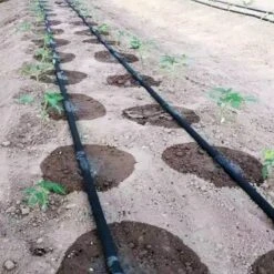 Tuyau Goutte à Goutte - 300 M 7 Tuyau Goutte à Goutte - 300 M -Intexoo Shop tuyau goutte a goutte 300 m 3