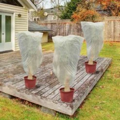 Voiles D'hivernage Pour Plante - Lot De 10 11 Voiles D'hivernage Pour Plante - Lot De 10 -Intexoo Shop voile hivernage lot de 10 5